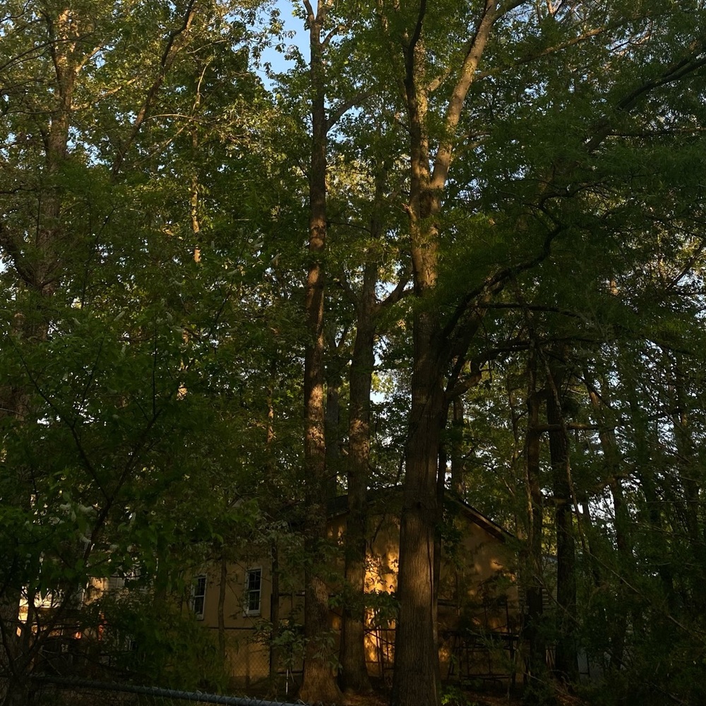 Meet your Posher, Josefina